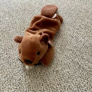 Ty Beanie Bucky the Beaver